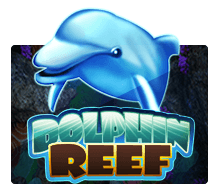 Dolphin Reef SLOTXO สล็อต XO เว็บตรง