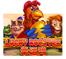 Lucky Rooster SLOTXO สล็อต XO เว็บตรง