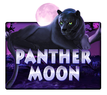 Panther Moon SLOTXO สล็อต XO เว็บตรง