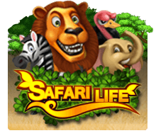 Safari Life SLOTXO joker123 สมัคร Joker123