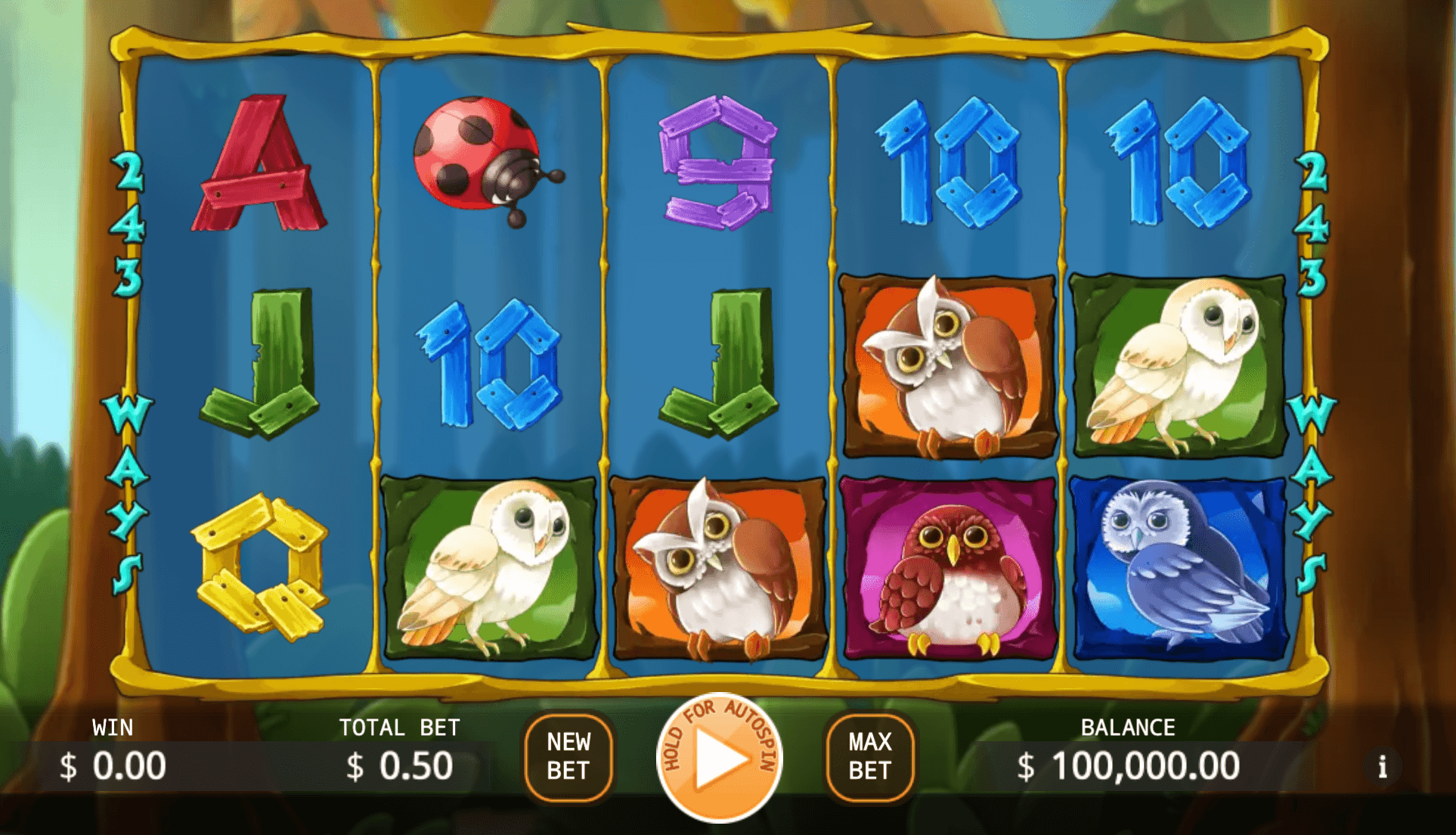 Owl In Forest KA Gaming สล็อต XO