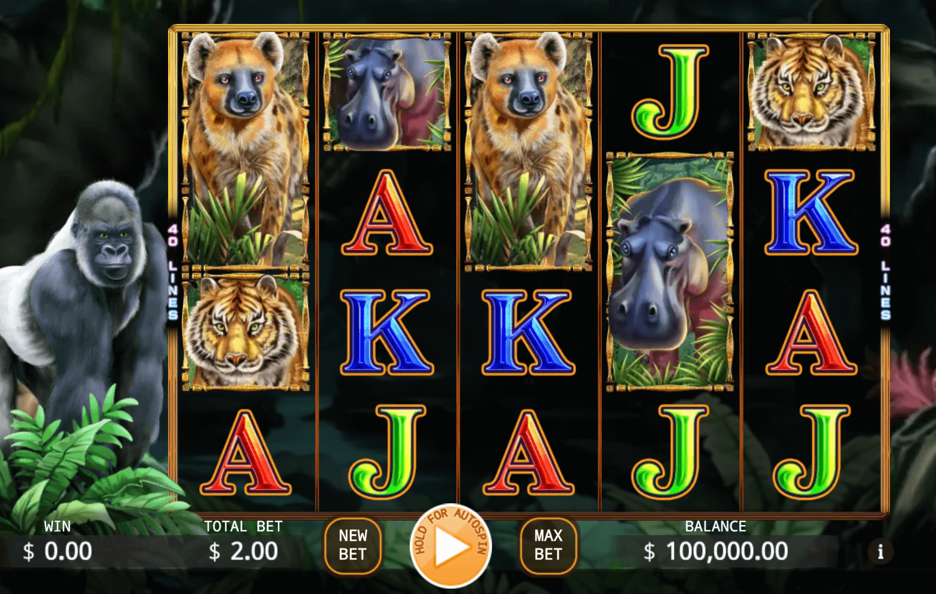 Wild Jungle KA Gaming xo666 slot