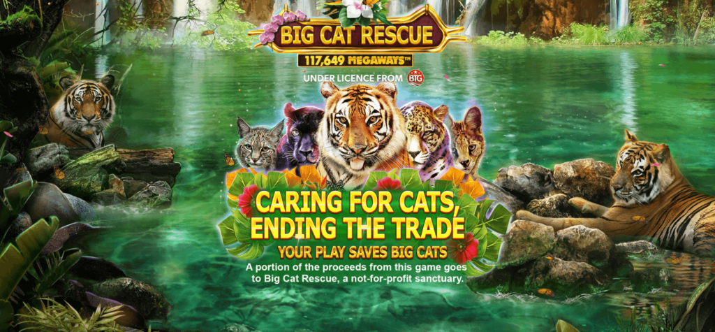 Big Cat Rescue MegaWays RED TIGER casino slotxo เว็บตรง