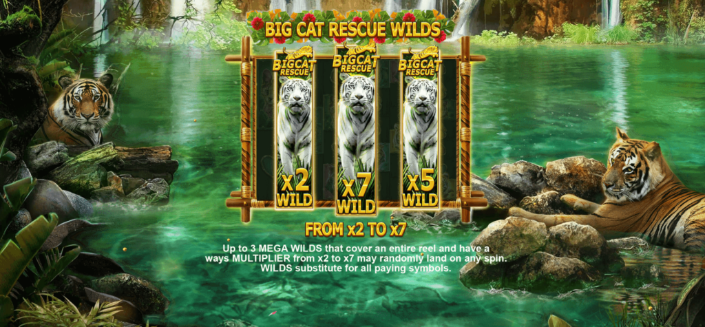 Big Cat Rescue MegaWays RED TIGER สล็อตแตกง่าย slotxo game