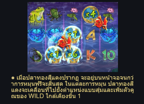 Kingyo Riches Advantplay slotxo game แจกโบนัส