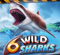 6 Wild Sharks สล็อต Relax Gaming เข้าสู่ระบบ สล็อต XO เว็บตรง