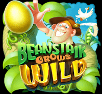 Beanstalk Grows Wild สล็อต Relax Gaming เข้าสู่ระบบ สล็อต XO เว็บตรง