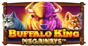 Buffalo King Megaways Pragmatic Play ทางเข้าเล่น slotxo