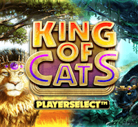 King of Cats สล็อต Relax Gaming เข้าสู่ระบบ สล็อต XO เว็บตรง