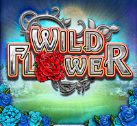 Wild Flower สล็อต Relax Gaming เข้าสู่ระบบ สล็อต XO เว็บตรง